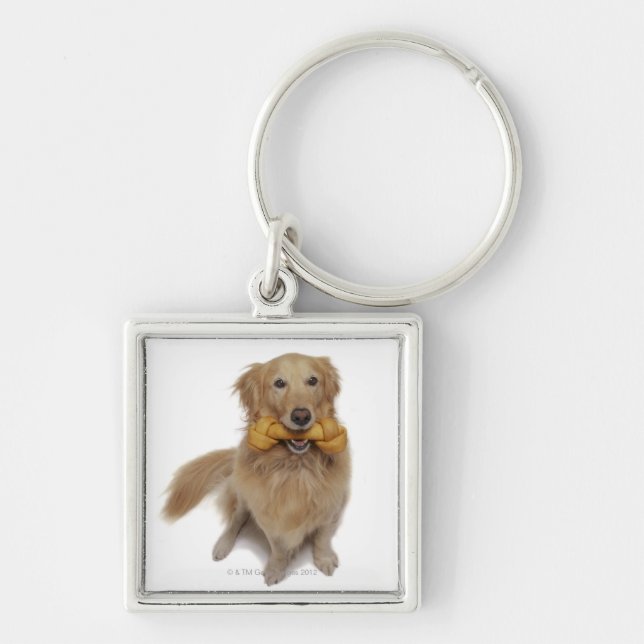 Golden Retriever Dog holding bone in mouth Keychain (Front)