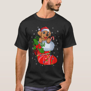 Golden Retriever Dog In Christmas Socks Lights San T-Shirt