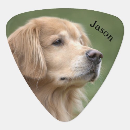 Golden Retriever Dog in Closeup Custom Name Guitar Pick