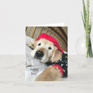 Golden Retriever Dog in Pajamas Get Well Card