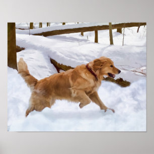 Golden Retriever Dog in the Snow Poster