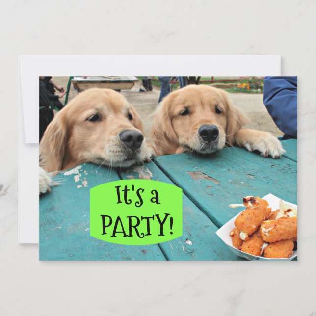 Golden Retriever Dog It's A Party Invitation (Front)