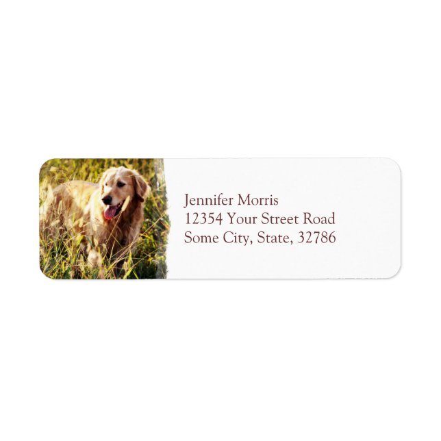 Golden Retriever Dog Label (Front)