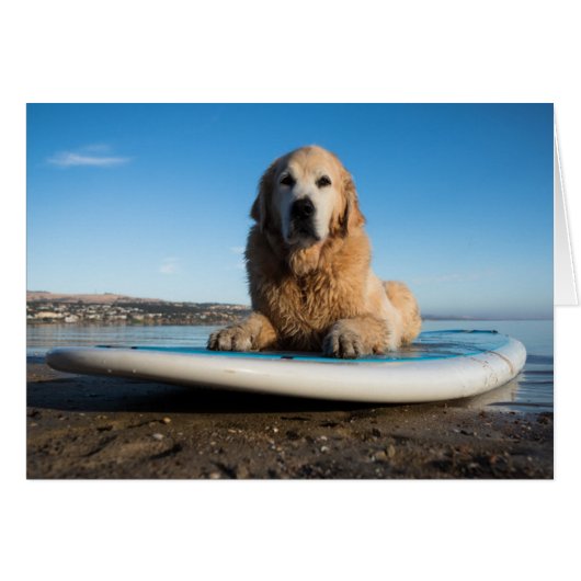 Golden Retriever Dog Laying On A Paddle Board (Front Horizontal)