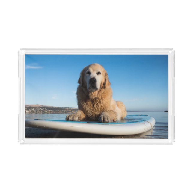 Golden Retriever Dog  Laying On A Paddle Board Acrylic Tray (Front)