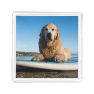 Golden Retriever Dog  Laying On A Paddle Board Acrylic Tray