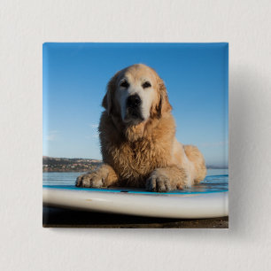 Golden Retriever Dog Laying On A Paddle Board Button