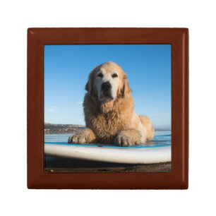 Golden Retriever Dog  Laying On A Paddle Board Keepsake Box