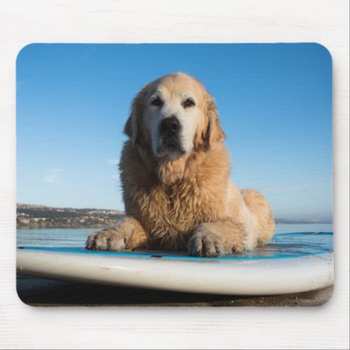 Golden Retriever Dog  Laying On A Paddle Board Mouse Pad