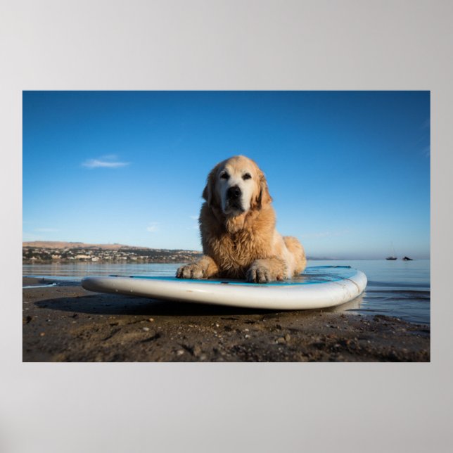 Golden Retriever Dog  Laying On A Paddle Board Poster (Front)