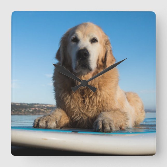 Golden Retriever Dog Laying On A Paddle Board Square Wall Clock (Front)