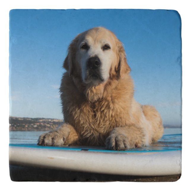 Golden Retriever Dog  Laying On A Paddle Board Trivet (Front)