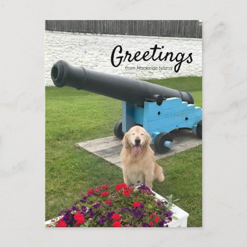 Golden Retriever Dog Mackinac Island Travel Postcard