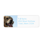 Golden Retriever Dog Mailing Label