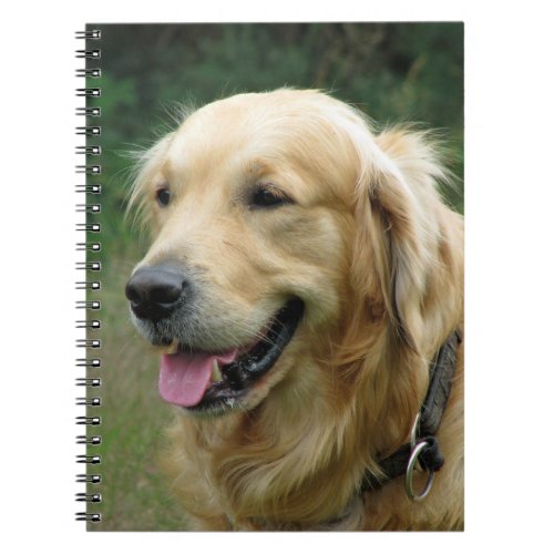 Golden Retriever Dog Notebook