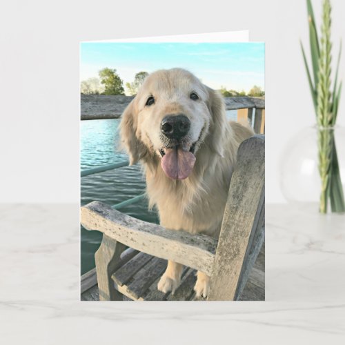 Golden Retriever Dog on a Dock Thinking of You Card