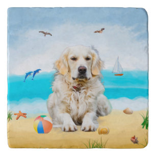 Golden Retriever Dog on Beach Trivet