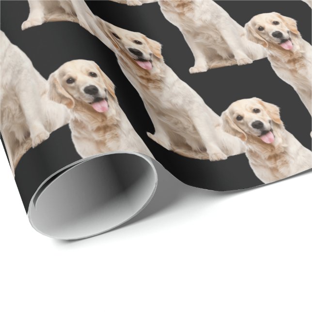 Golden retriever dog on black wrapping paper (Roll Corner)