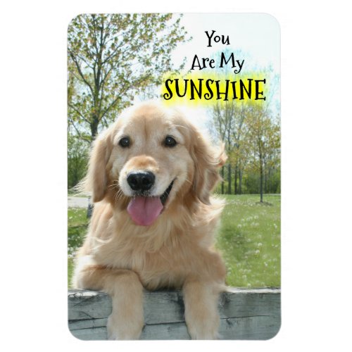 Golden Retriever Dog on Fence You Are My Sunshine Magnet
