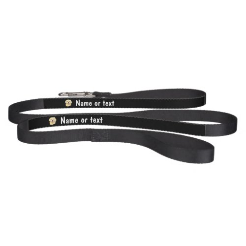Golden Retriever Dog Pet Animal Leash