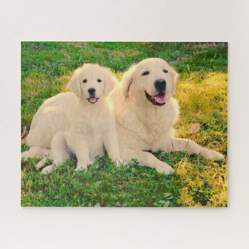 Golden Retriever Dog Pet Animal Mom or Dad  Pup Jigsaw Puzzle