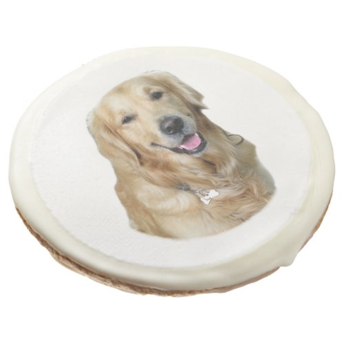 Golden Retriever dog photo portrait Sugar Cookie