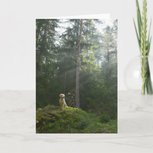 Golden Retriever Dog Pine Woodland Card