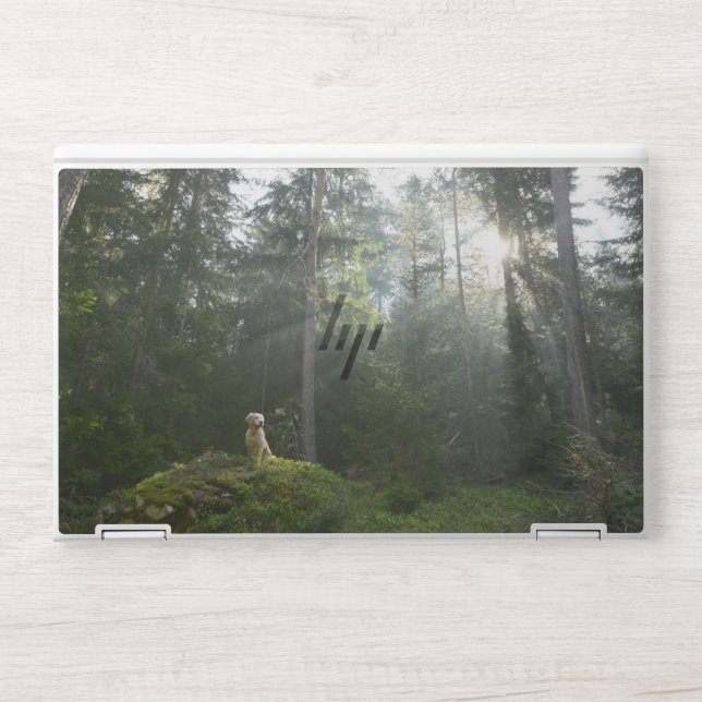 Golden Retriever Dog | Pine Woodland HP Laptop Skin (Front)