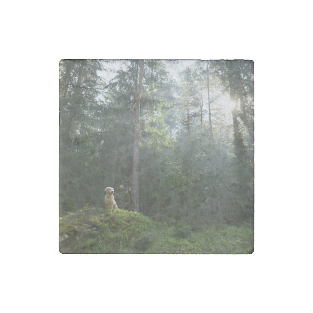 Golden Retriever Dog | Pine Woodland Stone Magnet (Front)