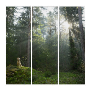 Golden Retriever Dog Pine Woodland Triptych