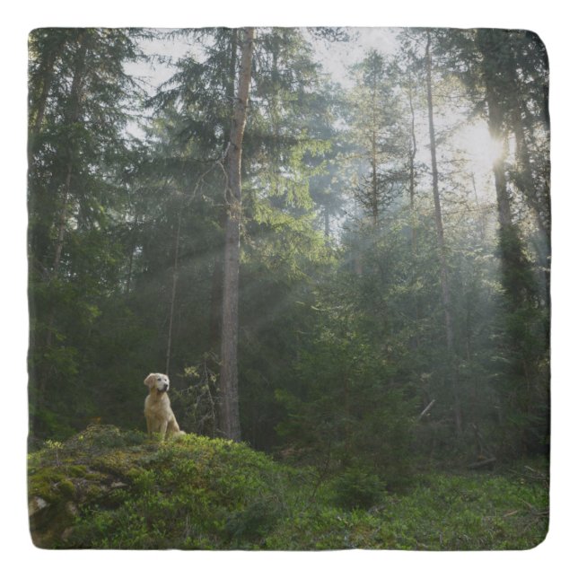 Golden Retriever Dog | Pine Woodland Trivet (Front)
