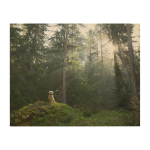 Golden Retriever Dog Pine Woodland Wood Wall Art