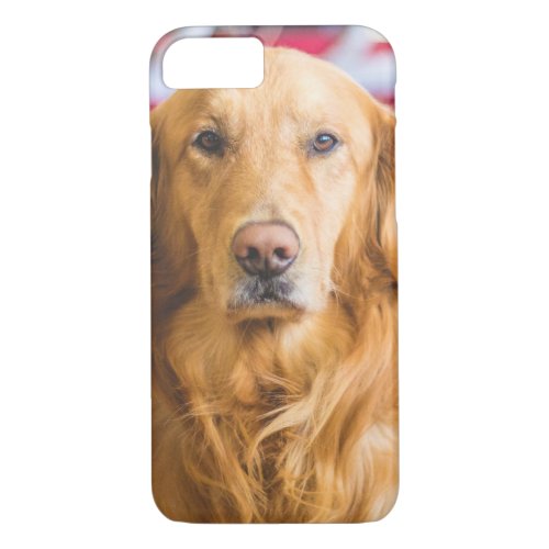 Golden Retriever dog portrait iPhone 87 Case