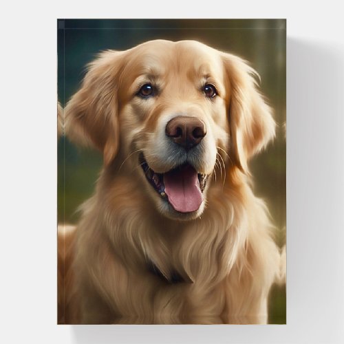 Golden Retriever Dog Portrait  Paperweight