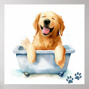 Golden Retriever Dog Poster