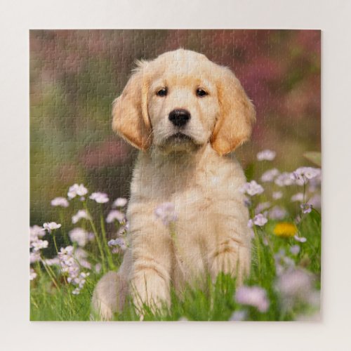 Golden Retriever dog puppy a cute Goldie Jigsaw Puzzle
