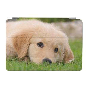 Golden Retriever Dog Puppy Dreaming on Gadget-Case iPad Mini Cover