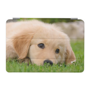 Golden Retriever Dog Puppy Dreaming on Gadget-Case iPad Mini Cover