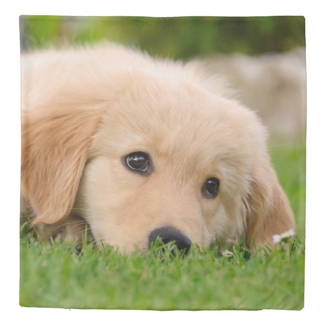 Golden Retriever Dog Puppy Dreaming, Photo Bedding Duvet Cover (Back)