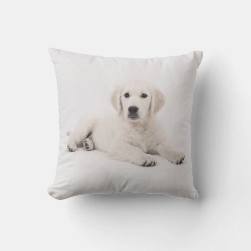 Golden Retriever Dog Puppy Pillow