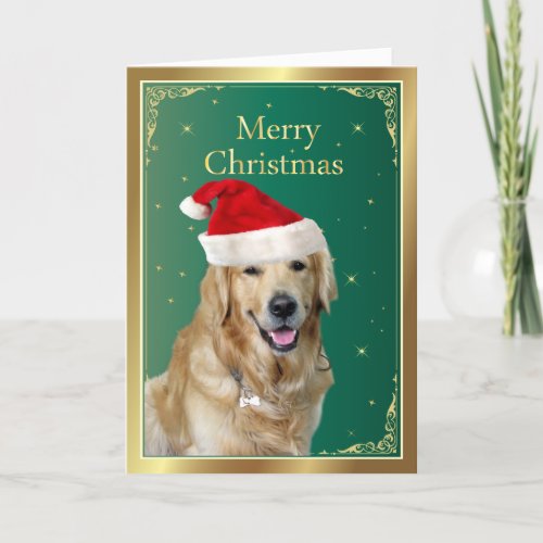 Golden Retriever dog red santa hat christmas card