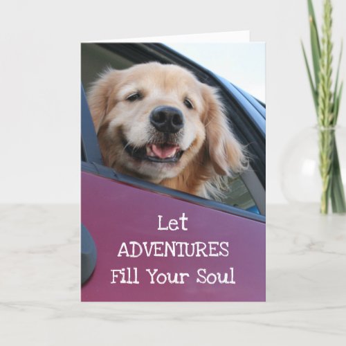 Golden Retriever Dog Safe Travel Adventures Card