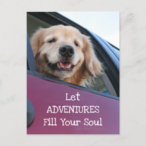 Golden Retriever Dog Safe Travel Adventures Postcard
