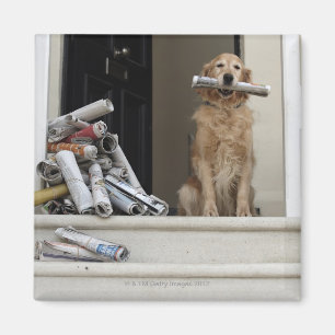 Golden retriever dog sitting at front door magnet