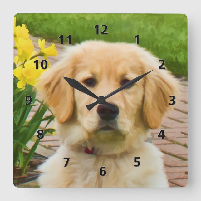 Golden Retriever Dog Square Wall Clock (Front)