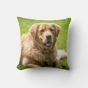 Golden Retriever Dog Throw Pillow