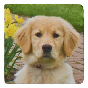 Golden Retriever Dog Trivet