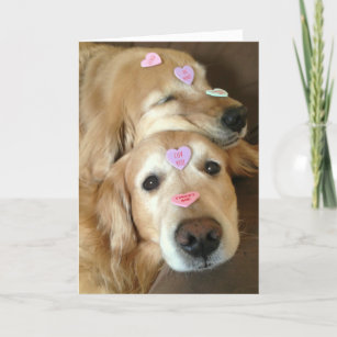 Golden Retriever Dog Valentine Conversation Hearts Holiday Card