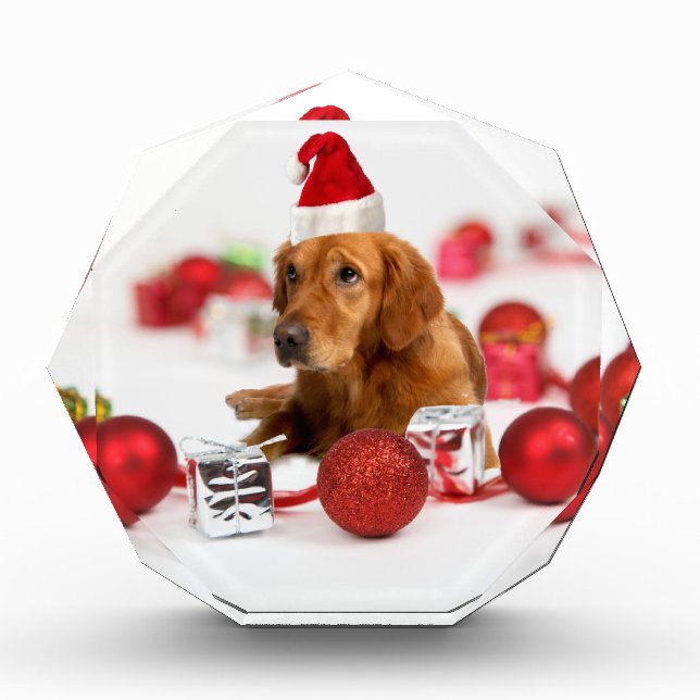 Golden Retriever Dog W Red Santa Hat Christmas Award (Front)