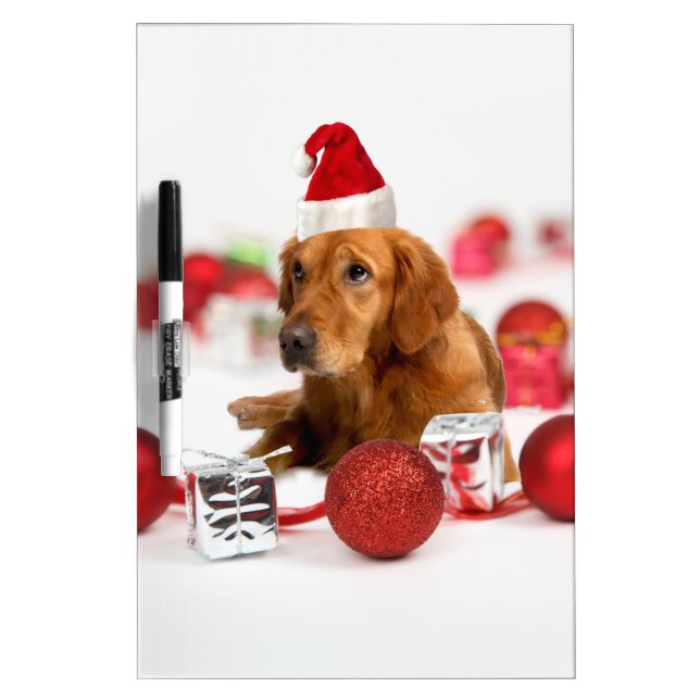Golden Retriever Dog W Red Santa Hat Christmas Dry-Erase Board (Front)